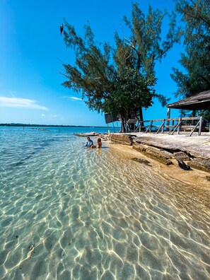 A beach with clear shallow waters, a wooden pier, and a tree providing shade.