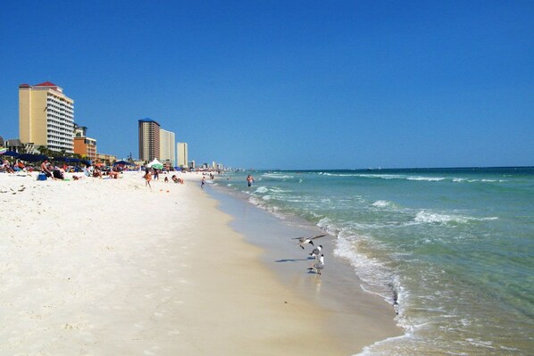 On the beach - Absolutely Beautiful Oceanfront 1 Bedroom Condo. (Panama City Beach)