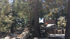 A stone pathway surrounded by large rocks and pine trees, leading to a building with a stone wall and a wooden fence.
