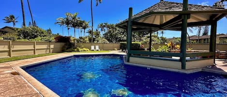 Outdoor pool