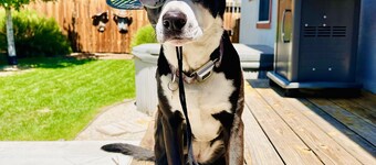 Book NOW for Holidays and Skiing Monarch! Multi-family, pets allowed, HOT TUB!