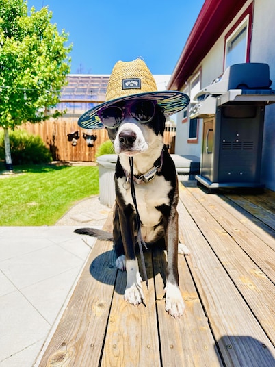 Book NOW for Holidays and Skiing Monarch! Multi-family, pets allowed, HOT TUB!