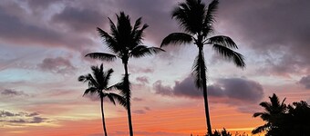 Hidden Paradise Found with Aloha Spirit and Great Summer Rates!  Weekly discount
