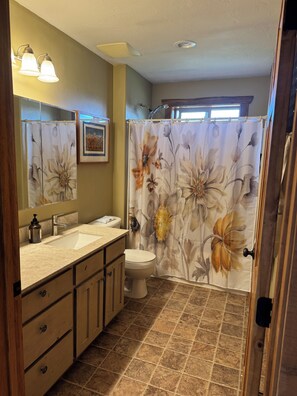 Combined shower/bathtub, hair dryer, towels, soap - Fantastic Grand Teton Views,  Location, Tranquility and Beauty (Tetonia)
