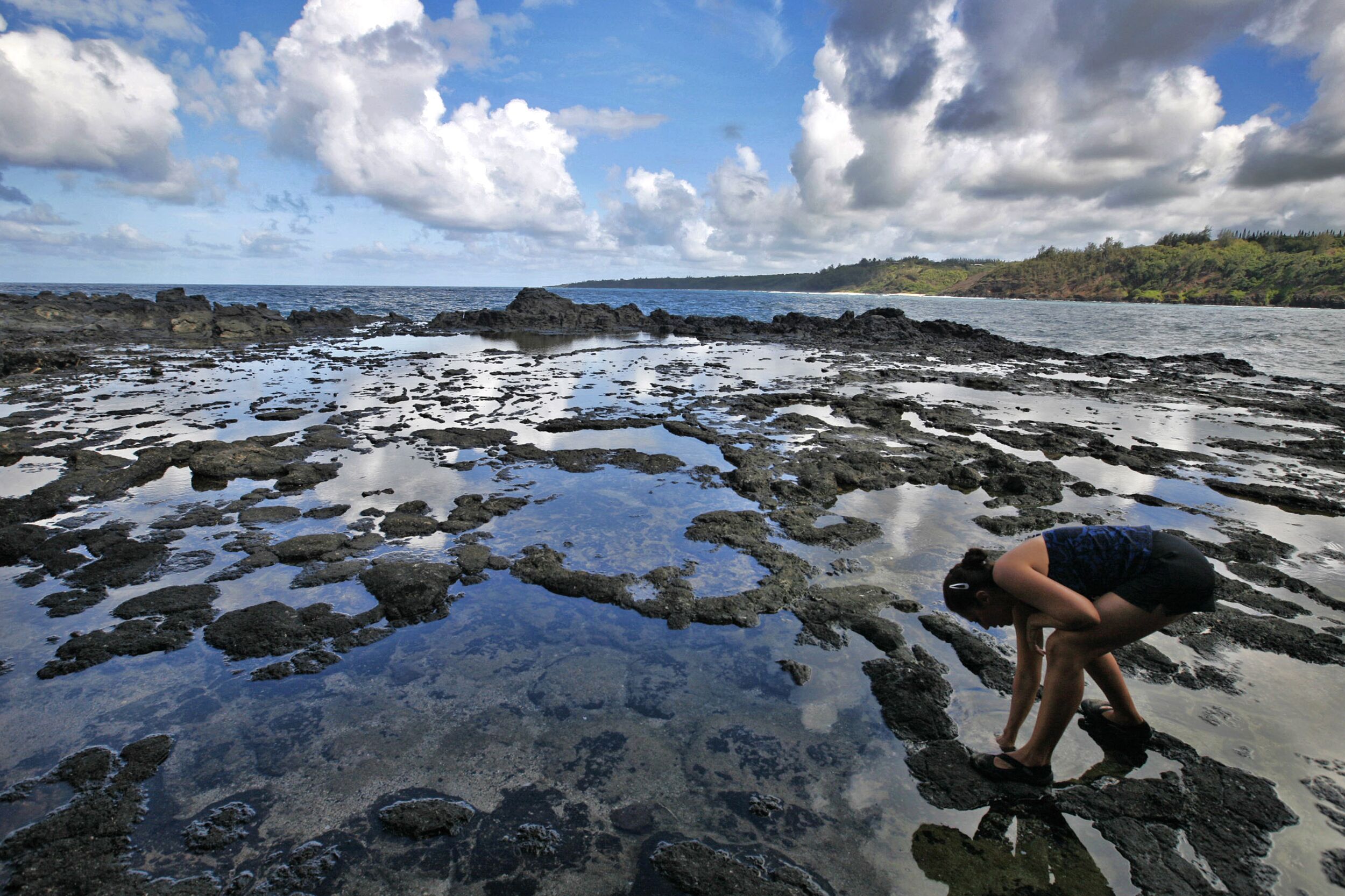 Una playa rocosa con una persona observando el suelo.