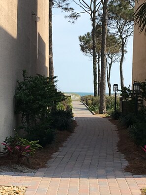 Property grounds - Beautiful Condo in Beachfront Complex with Heated Pool (Hilton Head Island)