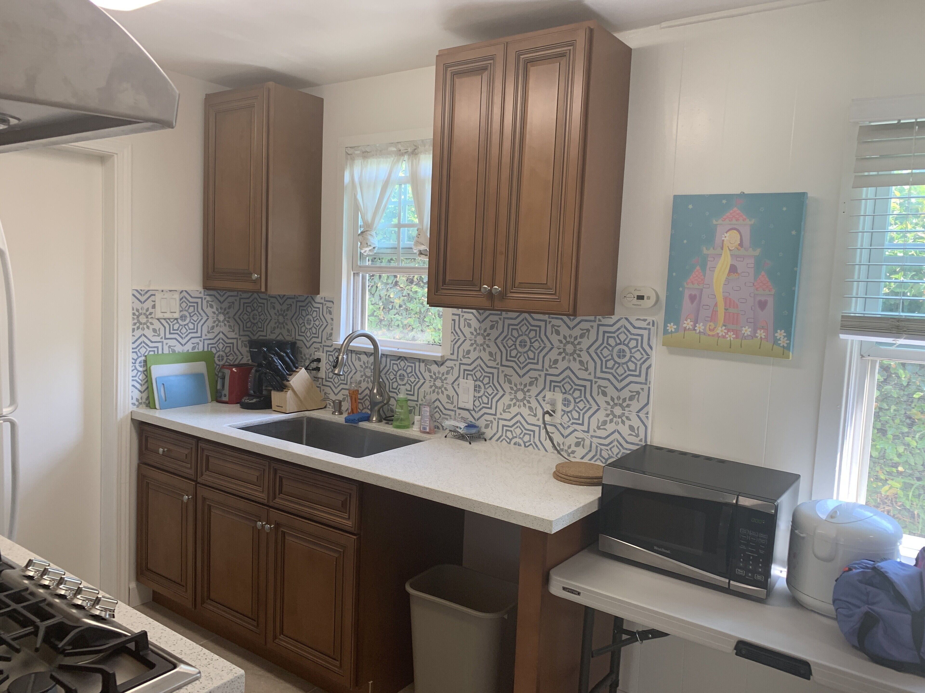 Mini-Single Family House With Huge Private Yard