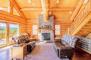 TV, fireplace, DVD player, books