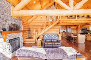 Télévision, cheminée, lecteur de DVD, livres