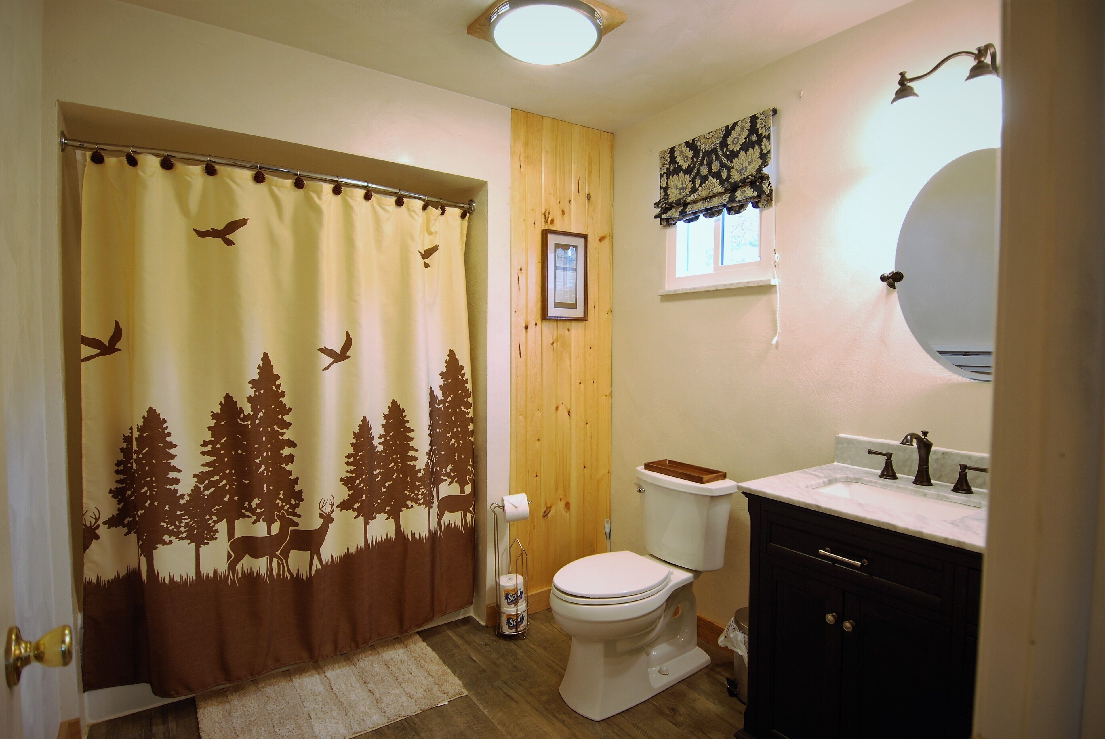 Combined shower/tub, hair dryer, toilet paper