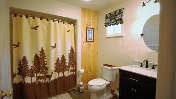Combined shower/tub, hair dryer, toilet paper