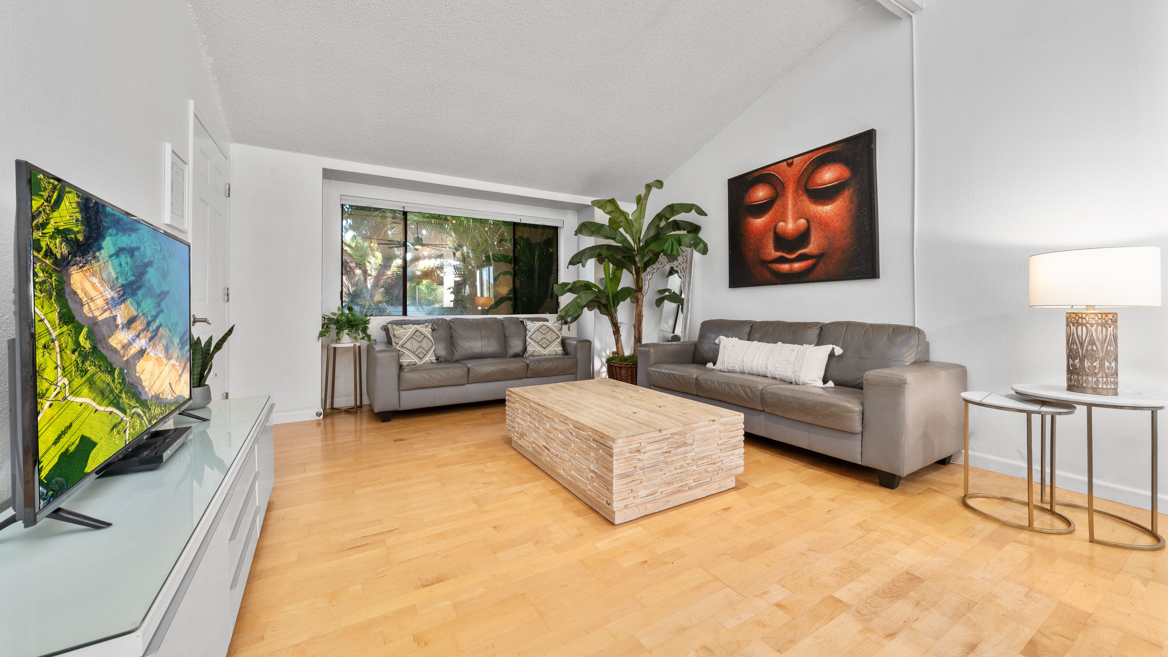 智能电视、DVD 播放器、书、音乐库