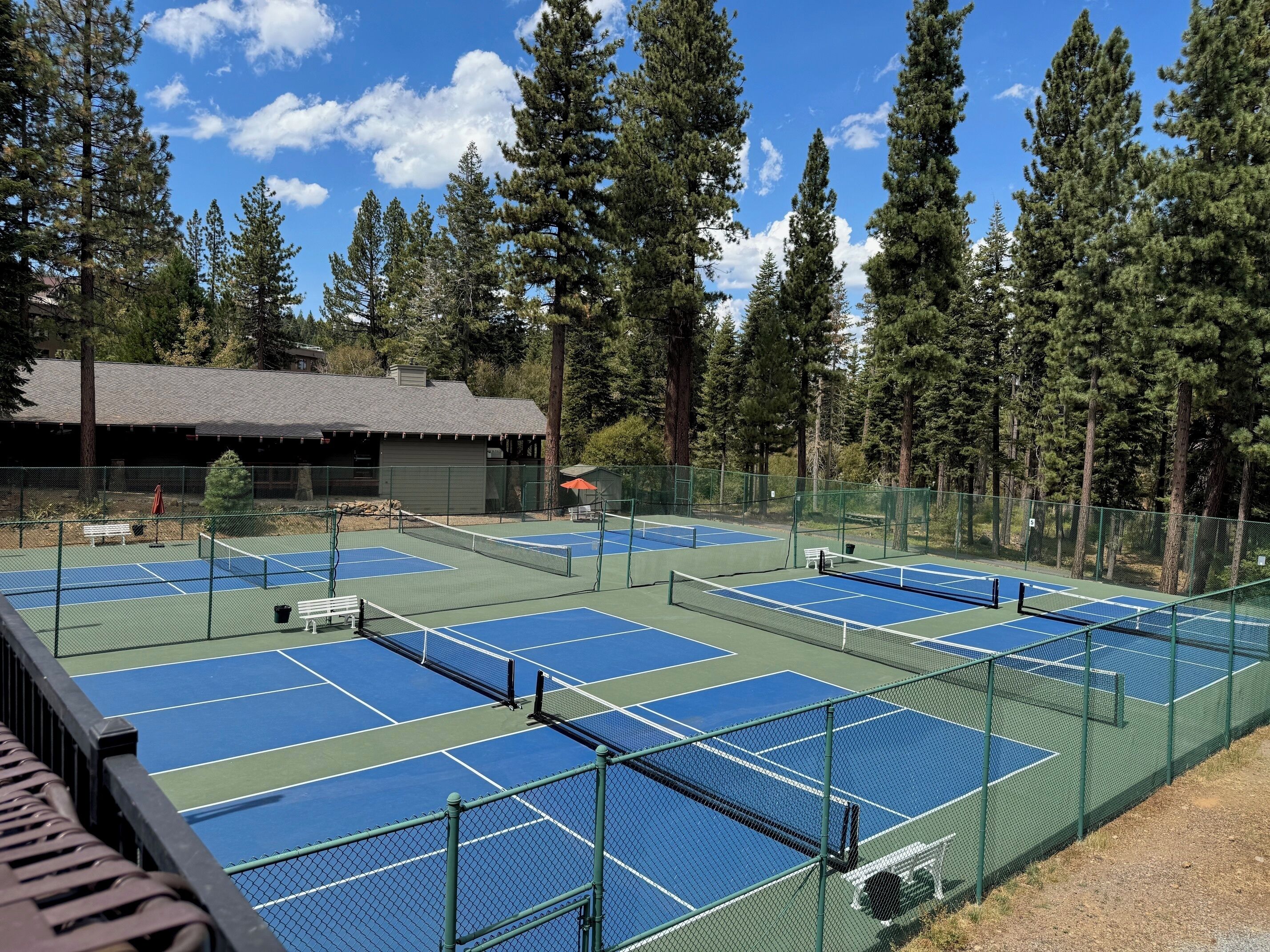 Un complejo de canchas de tenis con varias canchas, rodeado de altos árboles y un edificio al fondo.