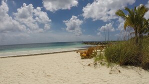 Une plage de sable blanc, un banc en bois et un palmier.