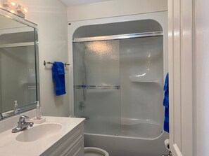 Combined shower/bathtub, hair dryer, bidet, towels