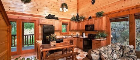 TV, fireplace, video games, DVD player