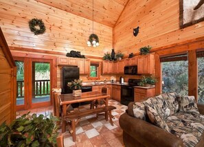 TV, fireplace, video games, DVD player