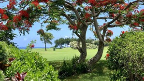 A tree with red flowers in a well-maintained garden with a clear view of the ocean. - Serene Mountain View Condo 11B North Shore Princeville - on Makai Golf Course (Princeville)