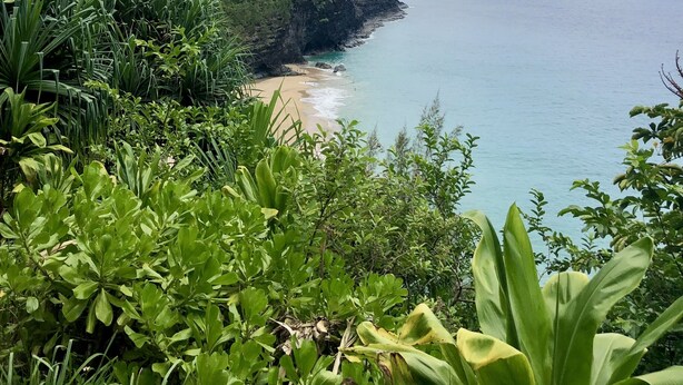A coastal landscape with a beach, lush greenery, and a mountainous backdrop. - Serene Mountain View Condo 11B North Shore Princeville - on Makai Golf Course (Princeville)