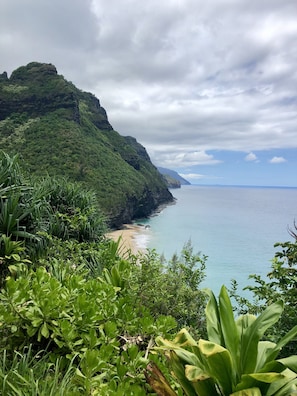 A coastal landscape with a beach, lush greenery, and a mountainous backdrop.