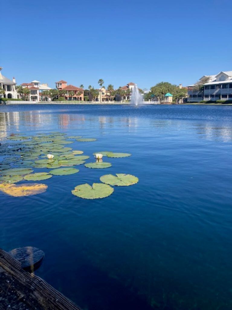 A calm lake with lily pads and a fountain in the background.