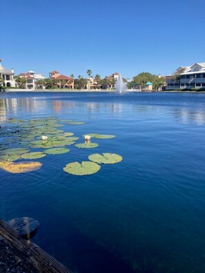 Lämmitetty uima-allas