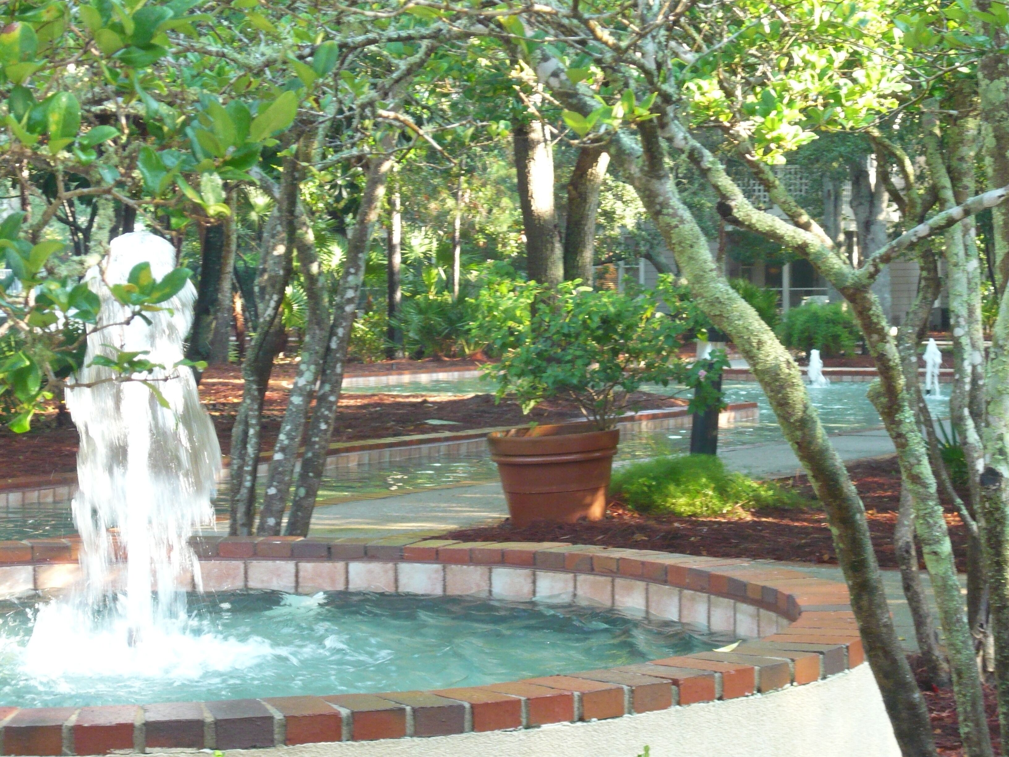 A circular water feature surrounded by brick, with a potted plant and trees in the background.