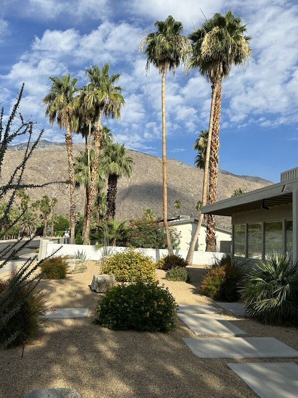 Une maison moderne dotée d’un patio, entourée de palmiers et avec une montagne en toile de fond.