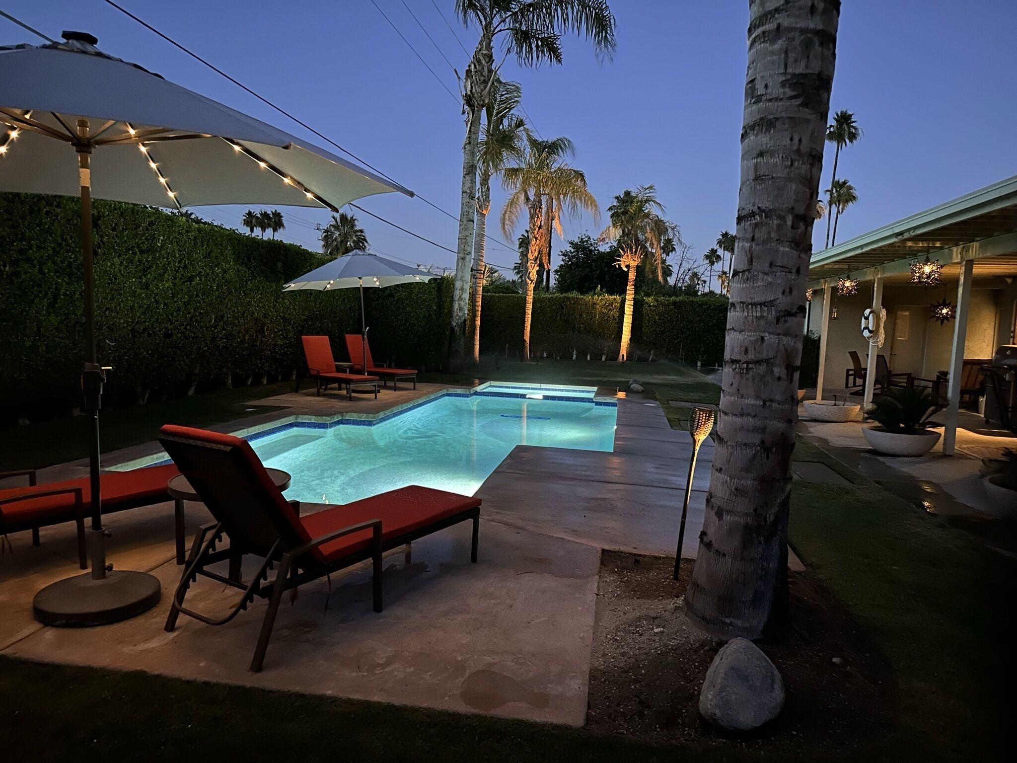 Une piscine entourée de palmiers et d’une haie bien entretenue, avec des chaises longues rouges et des parasols.