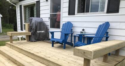 Rauhallinen lemmikki kodissa