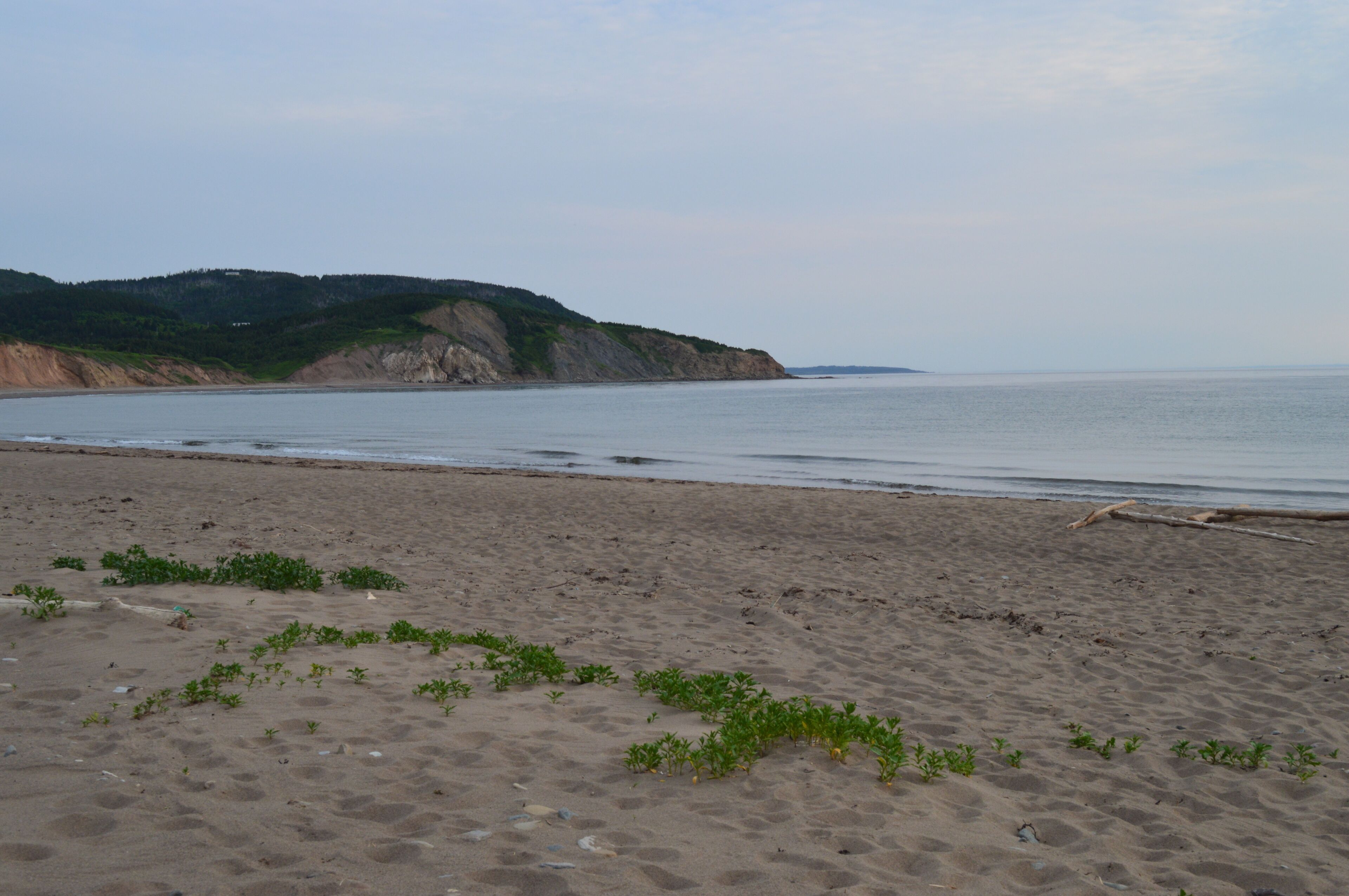 サンラウンジャー、ビーチタオル