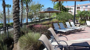 A poolside area with lounge chairs and umbrellas, surrounded by palm trees and a view of a building in the background. - VC210 - Universal, Sea World, Convention Center (Orlando)