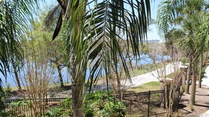 A park with palm trees, a fence, and a body of water in the background. - VC210 - Universal, Sea World, Convention Center (Orlando)