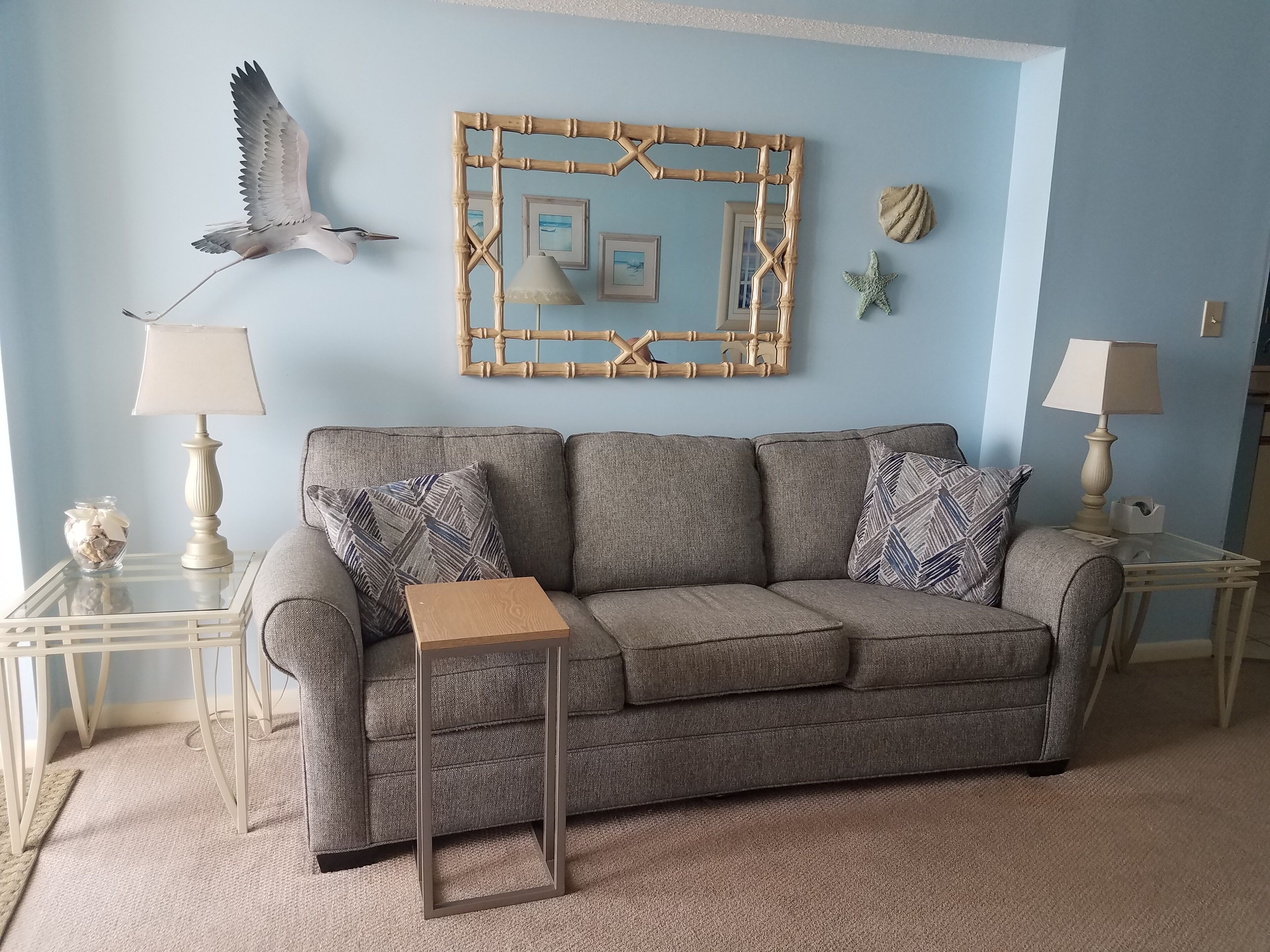 Flat-screen TV, DVD player, books, video library