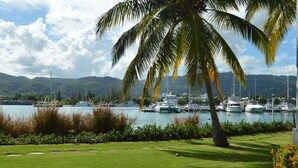 A marina with boats, a grassy area, and palm trees.