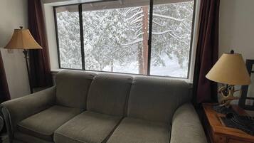Fernseher, Kamin, DVD-Player