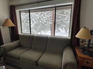 TV, fireplace, DVD player