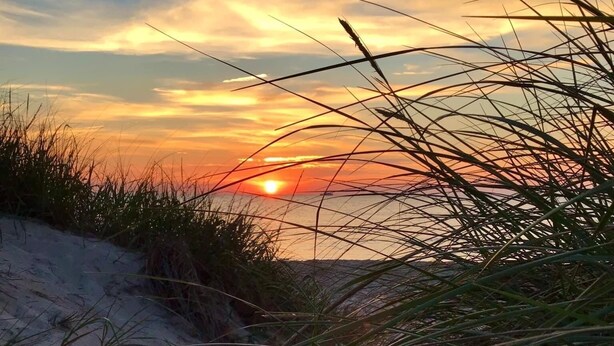 Ein Sonnenuntergang über einer sandigen Landschaft mit vereinzelter Vegetation.