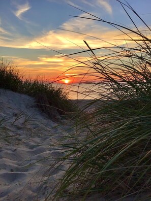 A sunset over a sandy landscape with sparse vegetation.