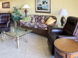 Smart TV, DVD player, books, video library