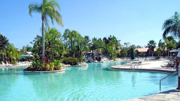 Una gran piscina al aire libre rodeada de palmeras y vegetación tropical.