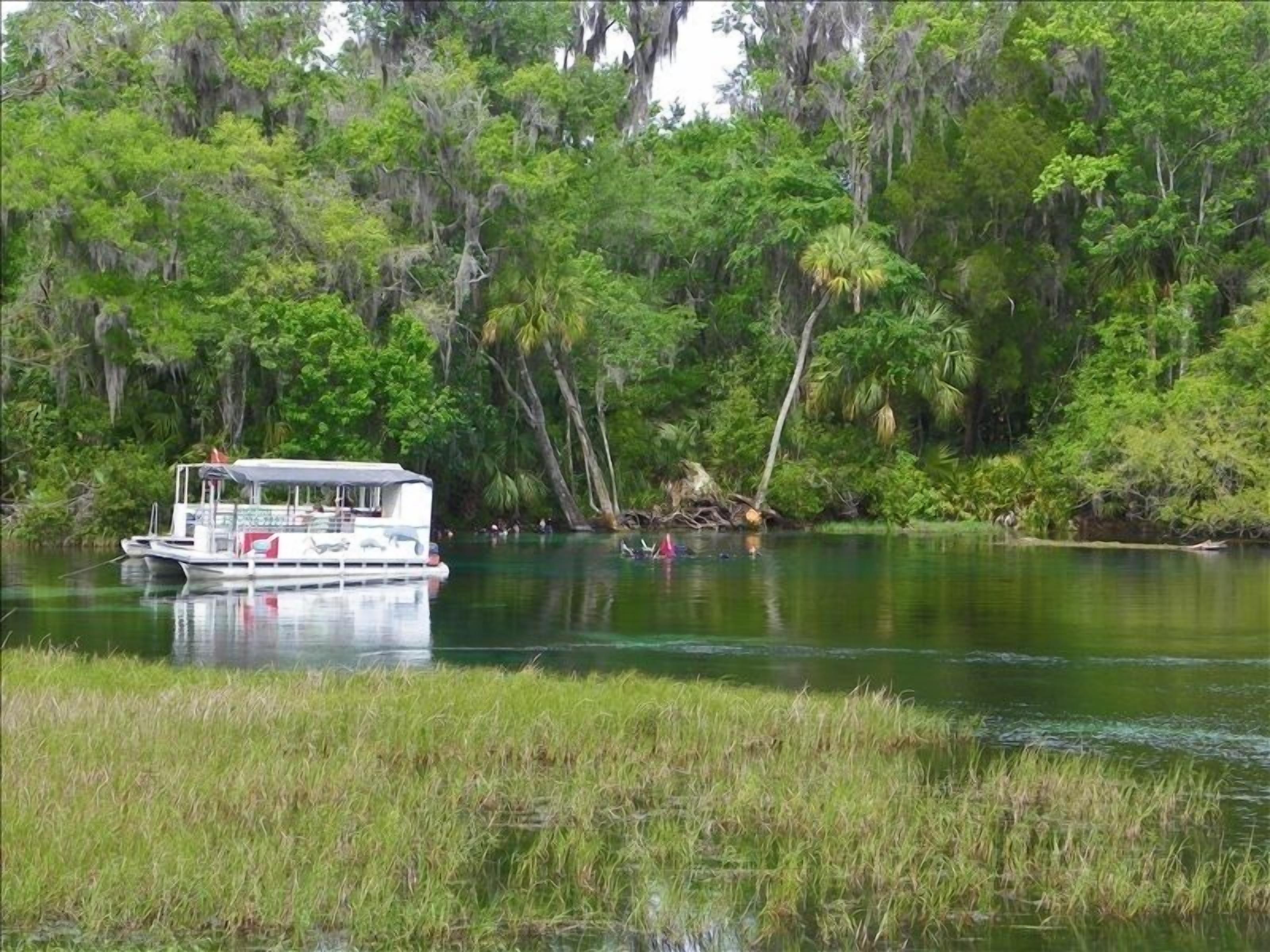 Rainbow River Home - Directly on Main Dive Springs