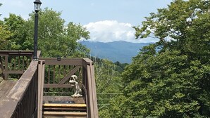 A wooden bridge with a metal railing, a stone statue, and a street lamp. - BEECH MOUNTAIN HIGH - WALK TO SLOPES! (Beech Mountain, NC)