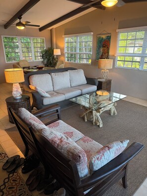 TV, DVD player, video library