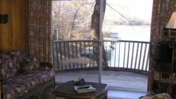 TV connectée, cheminée, lecteur de DVD, livres