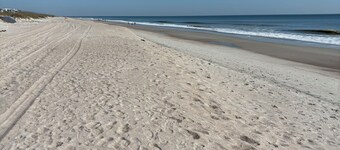 Amelia Island - Best Deal på stranden - Kæledyr tilladt