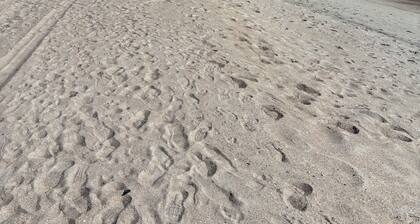 Amelia Island - Best Deal on the Beach - Pets Allowed