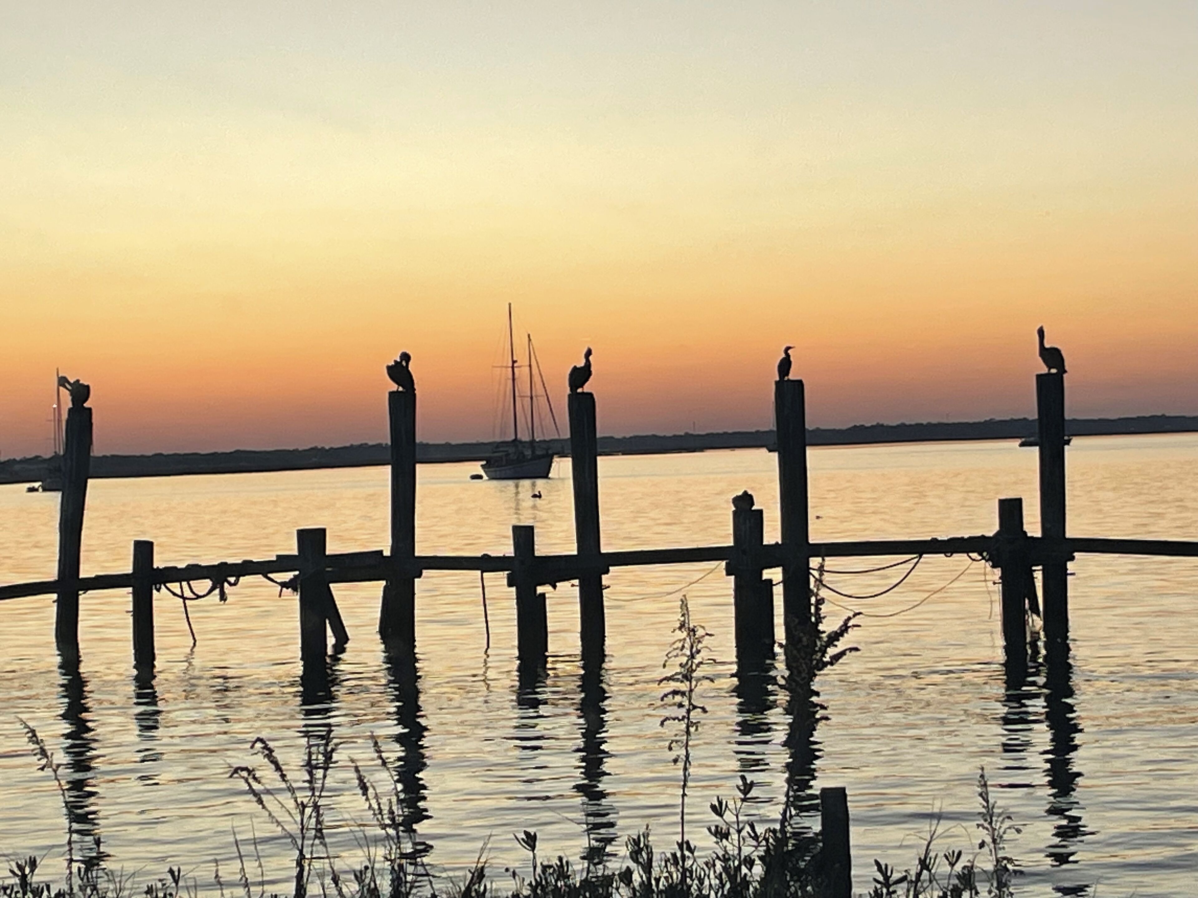 A wooden pier extending into calm water with birds perched on posts, a sailboat in the distance, and a sunset sky.