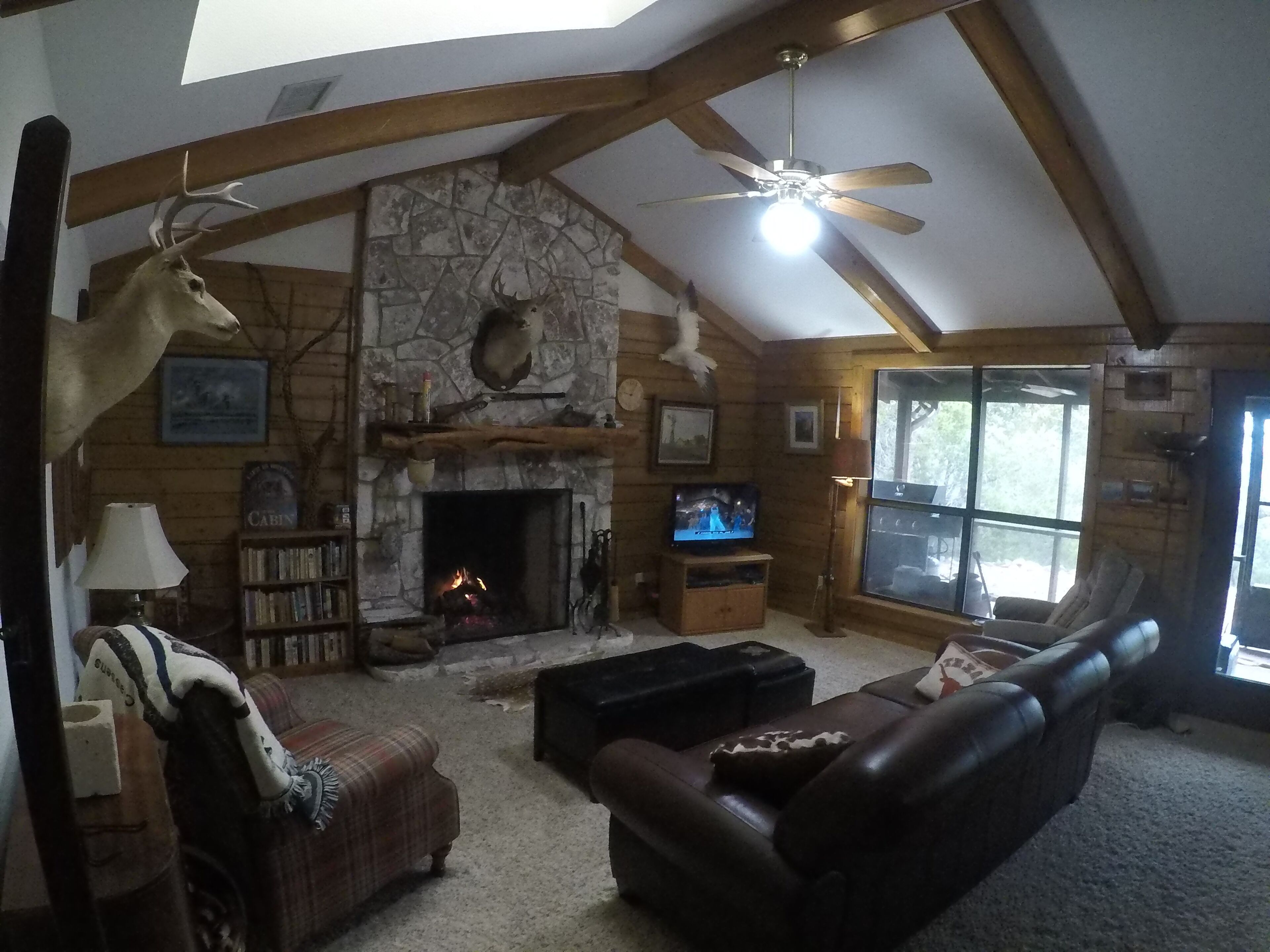 TV connectée, cheminée, lecteur de DVD