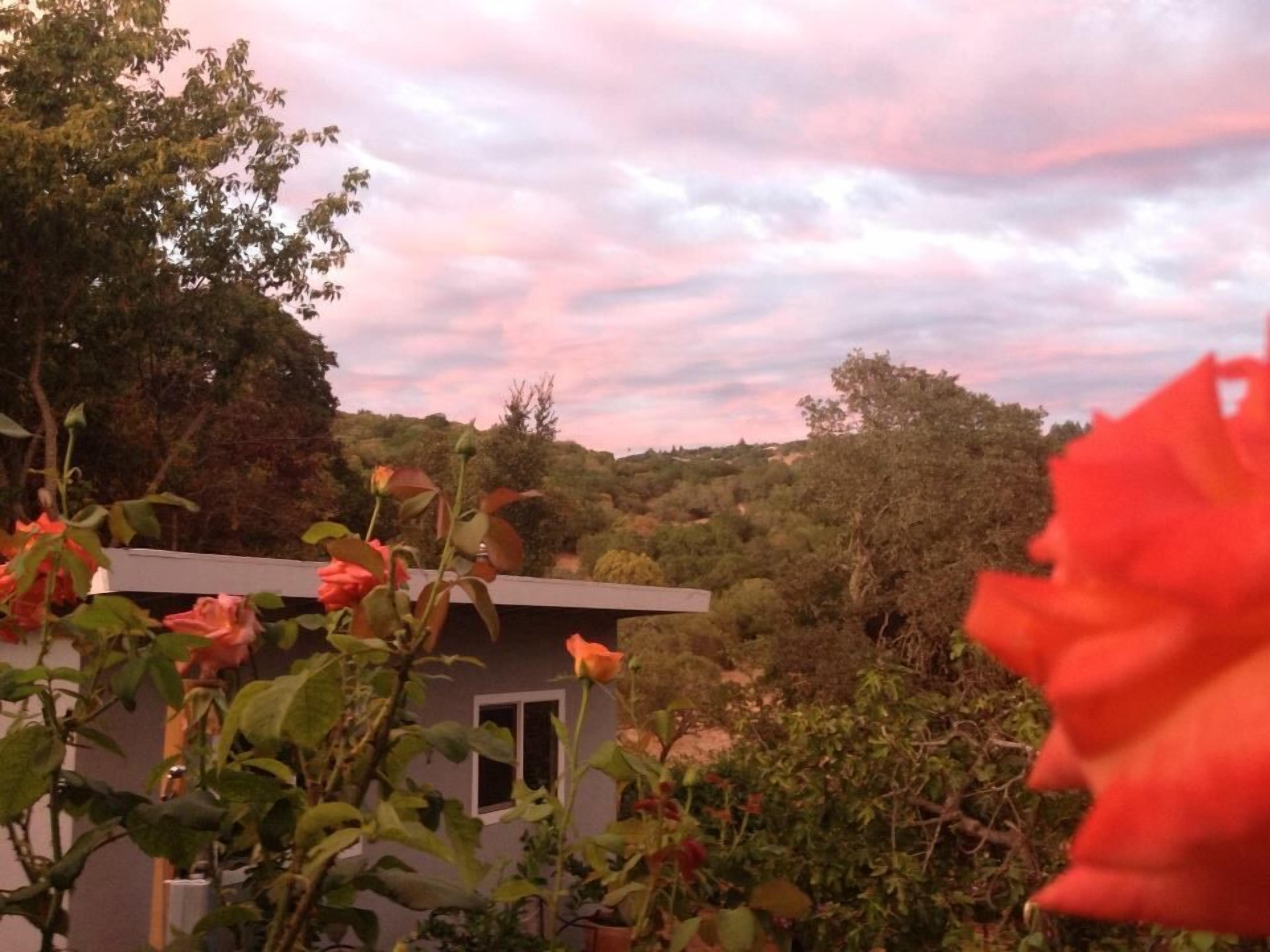 Tranquil Hillside Setting Minutes to the Plaza